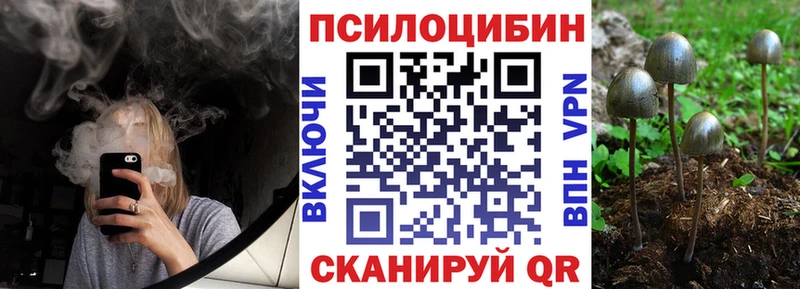 цена наркотик Славянск-на-Кубани Псилоцибиновые грибы Magic Shrooms